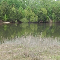 1784 Acres in Marion County in Columbia MS images 6