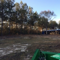 100 ac - Timber Land and Home Site images 2