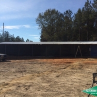 100 ac - Timber Land and Home Site images 4