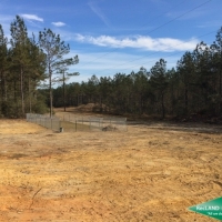 100 ac - Timber Land and Home Site images 5