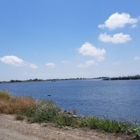 Venice Island Duck Club San Joaquin Delta images 3