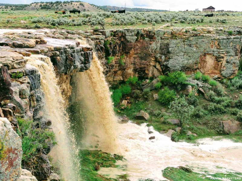 Chama River Canyon Ranch Hunting Land for Sale