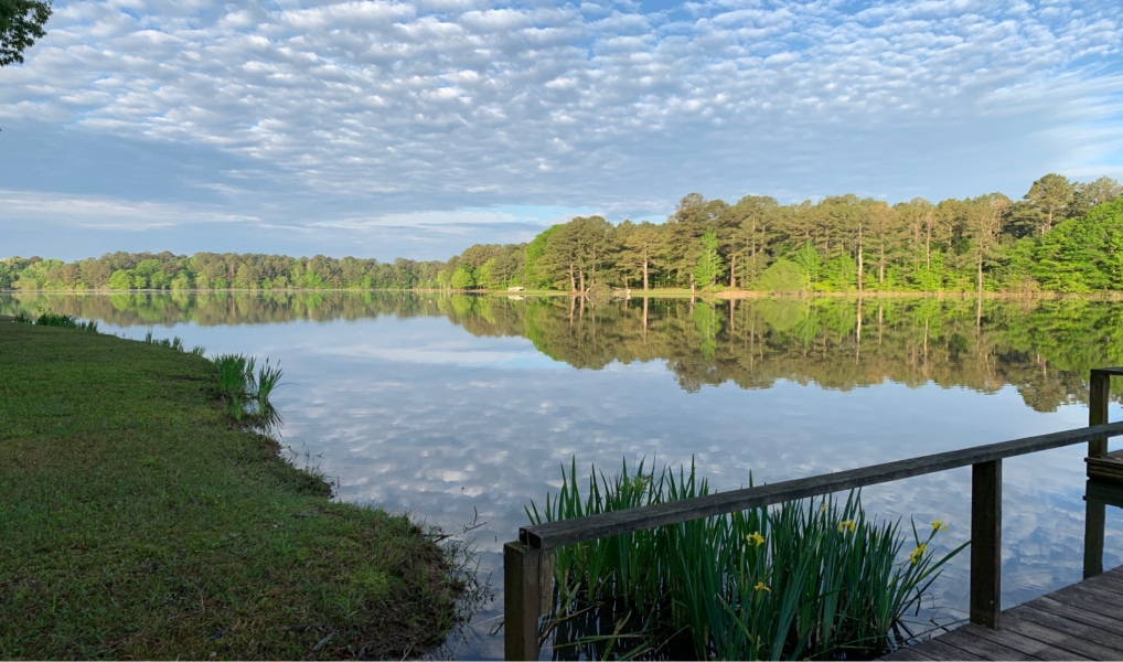 One Share with a Cabin at Nine Mile Lake Fishing and Hunting Inc. in Madison County in Camden MS