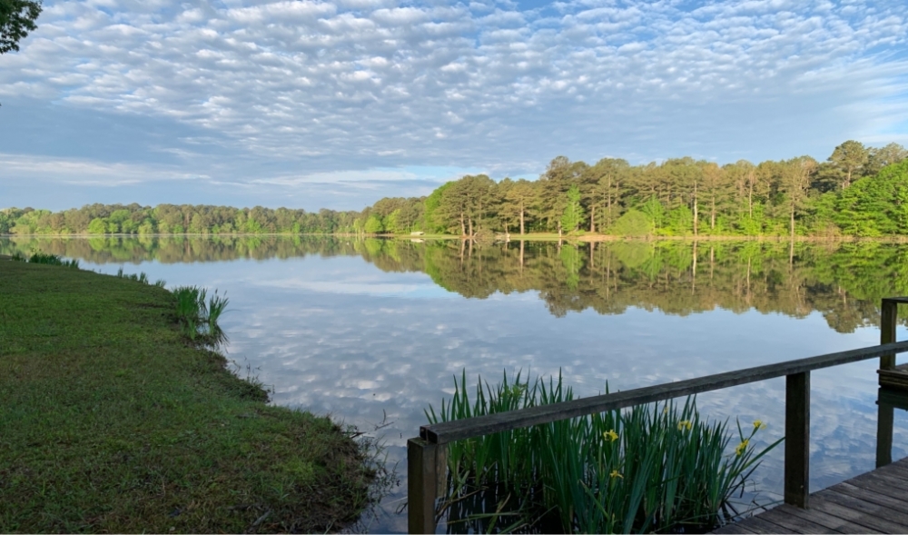 One Share with a Cabin at Nine Mile Lake Fishing and Hunting Inc. in Madison County in Camden MS featured image