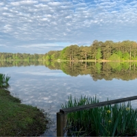 One Share with a Cabin at Nine Mile Lake Fishing and Hunting Inc. in Madison County in Camden MS