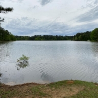 One Share with a Cabin at Nine Mile Lake Fishing and Hunting Inc. in Madison County in Camden MS images 4