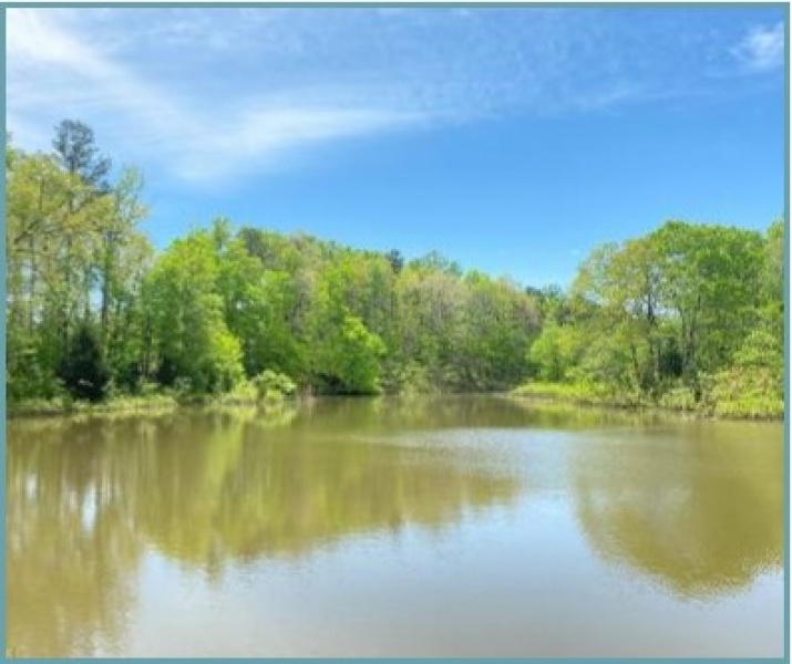 40 Acres in Lafayette County in Thaxton MS featured image