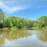 40 Acres in Lafayette County in Thaxton MS