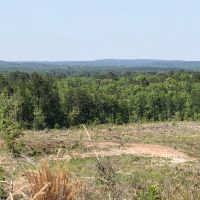 2735 Acres Rolling Piney Woods