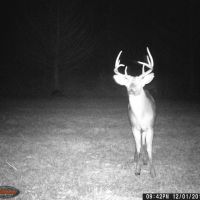Arkansas River Valley Outfitters