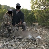 Deer 1a