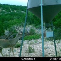 12,000 acre West Texas hunting ranch