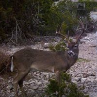 Image2