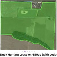 Grand Prairie AR Duck Hunting Lease