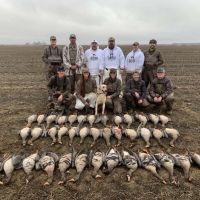 Geese group