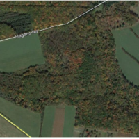 70 acres Whitetail Deer hunting in Indiana County, PA