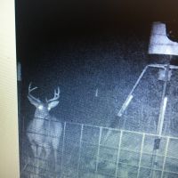 8400 acres