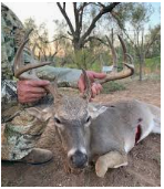 5000 Acres Mule Deer Hunting in Val Verde County, TX