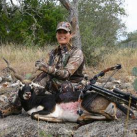 Axis, Buck, Sika, Aoudad, Fallow and Feral Hog Weekend-Bowhunts in South Texas with Luxury Accommoda