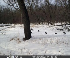 150 ACRE executive Hunting Lease- Beside State Park Newberry, MI (Newberry,MI)