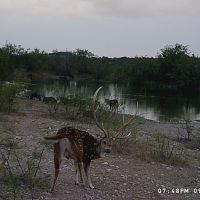 115fdf12-2d59-4d73-9364-4ac2a124b538