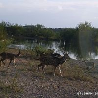 4700 acres located in the beautiful Texas Hill Country