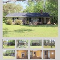 Hunting house 
