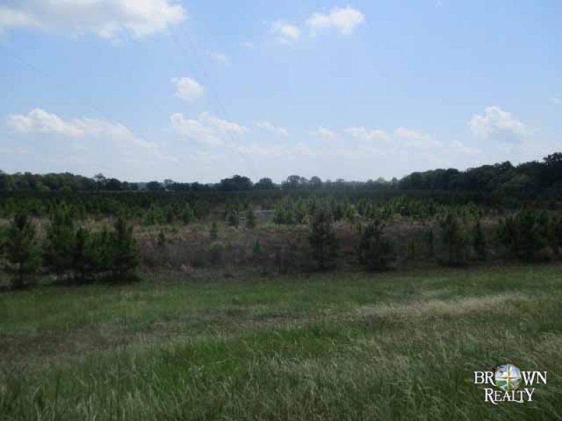 LA - Catahoula Wilson 222 acres - featured image