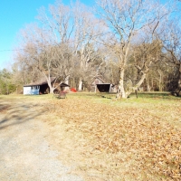 60.86 Acres Open Fields Planted Pines Road Frontage Farm House images 6