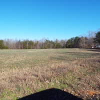 60.86 Acres Open Fields Planted Pines Road Frontage Farm House images 4