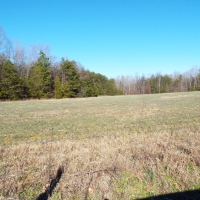 60.86 Acres Open Fields Planted Pines Road Frontage Farm House images 5