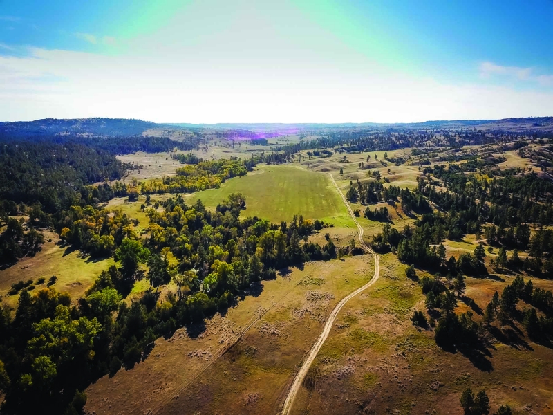 Wagon Box Spring Ranch Hunting Land for Sale