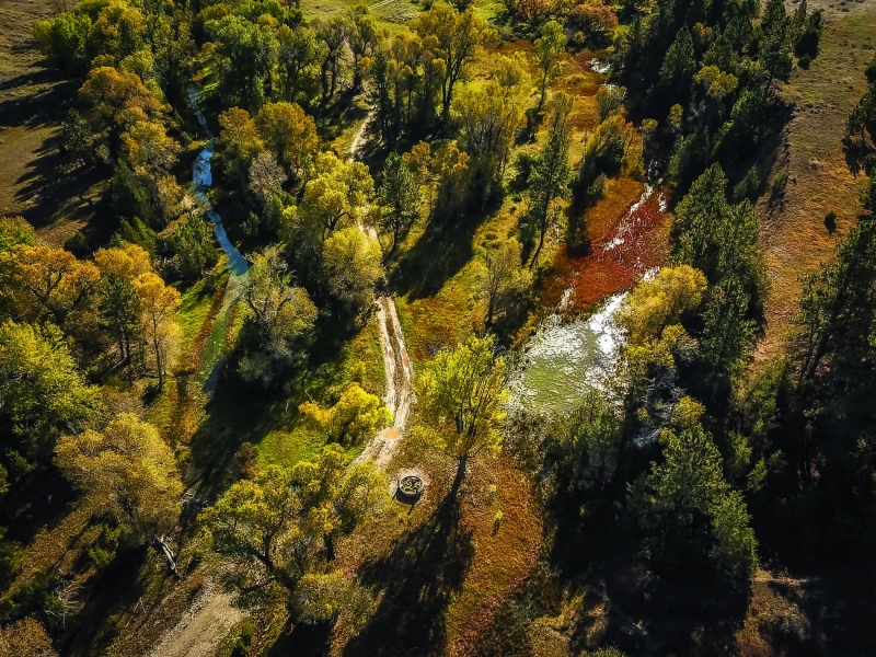 Wagon Box Spring Ranch Hunting Land for Sale