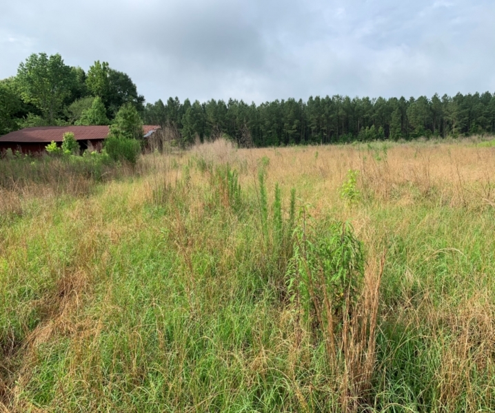 27 Acres in Hinds County in Bolton MS Hunting Land for Sale