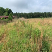 27 Acres in Hinds County in Bolton MS