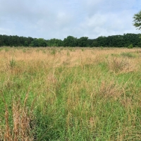 27 Acres in Hinds County in Bolton MS images 2