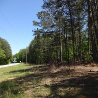 -15.50 Acres-Location location location. Great property for a residential estate home convenient to Simpsonville and Greenville images 3