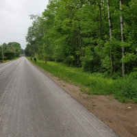 25 acre Forest Land Pulaski NY images 6