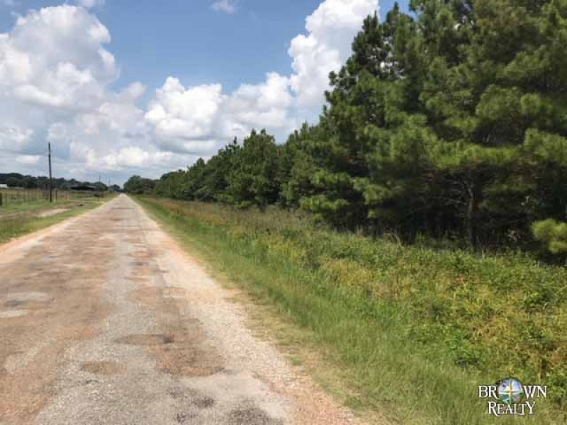 LA - Franklin Stiles 169 acres - featured image