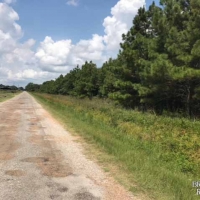 LA - Franklin Stiles 169 acres -