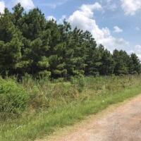 LA - Franklin Stiles 169 acres - images 2