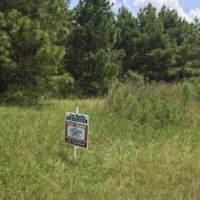 LA - Franklin Stiles 169 acres - images 3