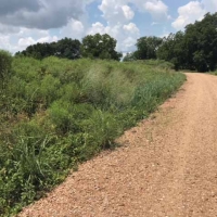 LA - Franklin Stiles 169 acres - images 5