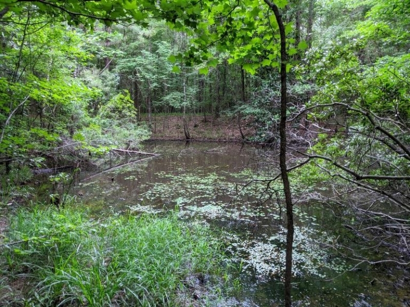 25 Acres in Franklin County in Meadville MS featured image