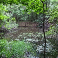 25 Acres in Franklin County in Meadville MS