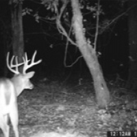 LA - Madison Wyatt 732 -