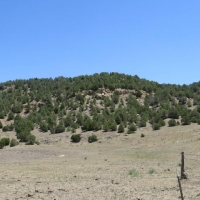 37 acres County Road Access no HOA POA images 6