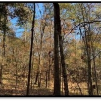 15 B Acres in Neshoba County in Philadelphia MS images 2