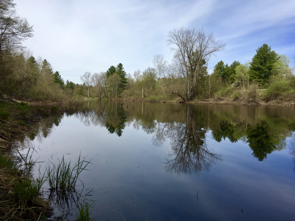 20 acre Lot on The Oswegatchie River Pitcairn NY featured image
