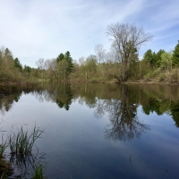 20 acre Lot on The Oswegatchie River Pitcairn NY
